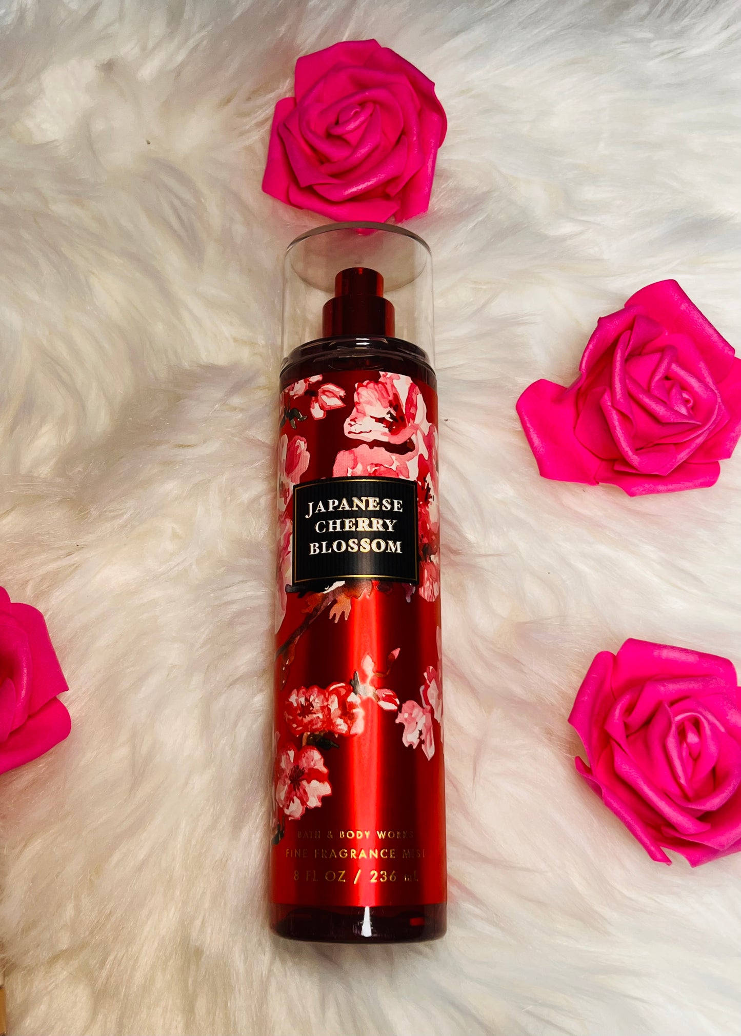 Japanese Cherry Blossom